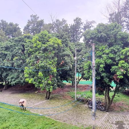 Nature View Homestay Dehradun Exterior foto